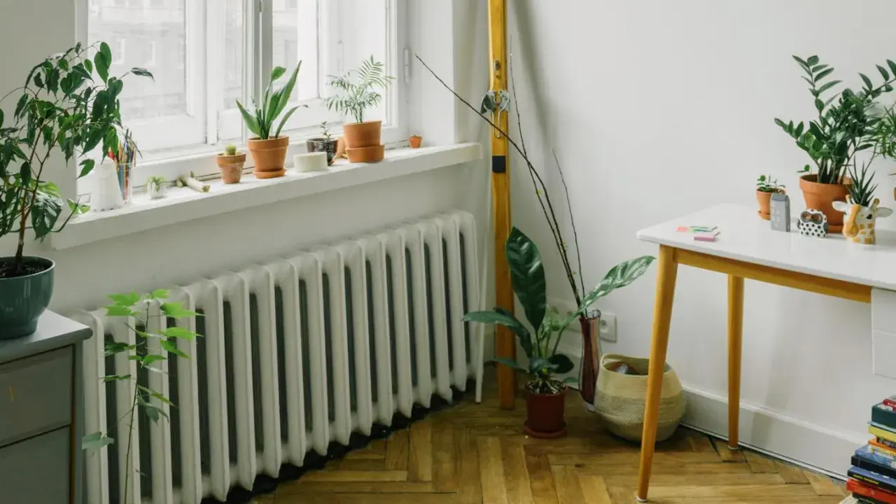 Un radiatore bianco sotto una finestra, con piante in vaso sul davanzale e sul pavimento. Ottimo esempio di dove posizionare i termosifoni per un ambiente accogliente.