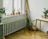 Un radiatore bianco sotto una finestra, con piante in vaso sul davanzale e sul pavimento. Ottimo esempio di dove posizionare i termosifoni per un ambiente accogliente.