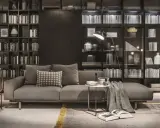 Elegante soggiorno con divano grigio, tavolino e una maestosa lema parete attrezzata piena di libri e oggetti decorativi.