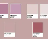 Palette di colori Pantone che esplorano il colore malva abbinamenti: dal Mauve Orchid al Mauvewood, passando per sfumature delicate.