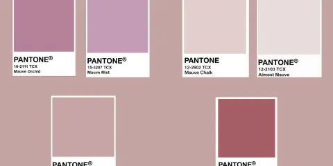 Palette di colori Pantone che esplorano il colore malva abbinamenti: dal Mauve Orchid al Mauvewood, passando per sfumature delicate.