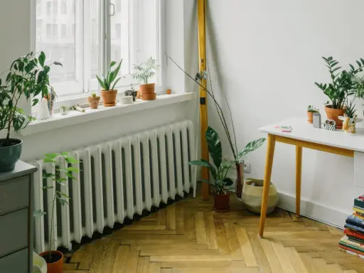 Un radiatore bianco sotto una finestra, con piante in vaso sul davanzale e sul pavimento. Ottimo esempio di dove posizionare i termosifoni per un ambiente accogliente.