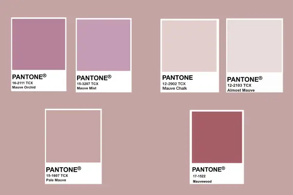 Palette di colori Pantone che esplorano il colore malva abbinamenti: dal Mauve Orchid al Mauvewood, passando per sfumature delicate.